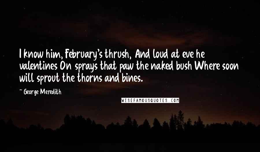 George Meredith Quotes: I know him, February's thrush, And loud at eve he valentines On sprays that paw the naked bush Where soon will sprout the thorns and bines.