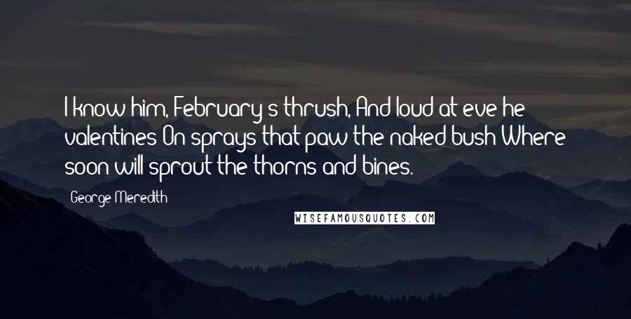 George Meredith Quotes: I know him, February's thrush, And loud at eve he valentines On sprays that paw the naked bush Where soon will sprout the thorns and bines.