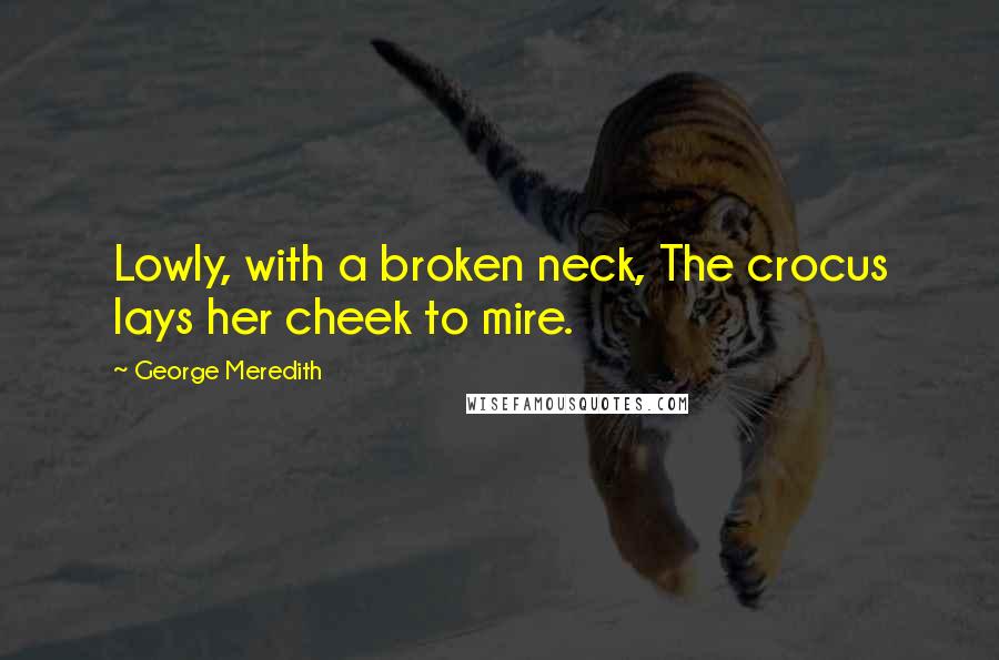 George Meredith Quotes: Lowly, with a broken neck, The crocus lays her cheek to mire.