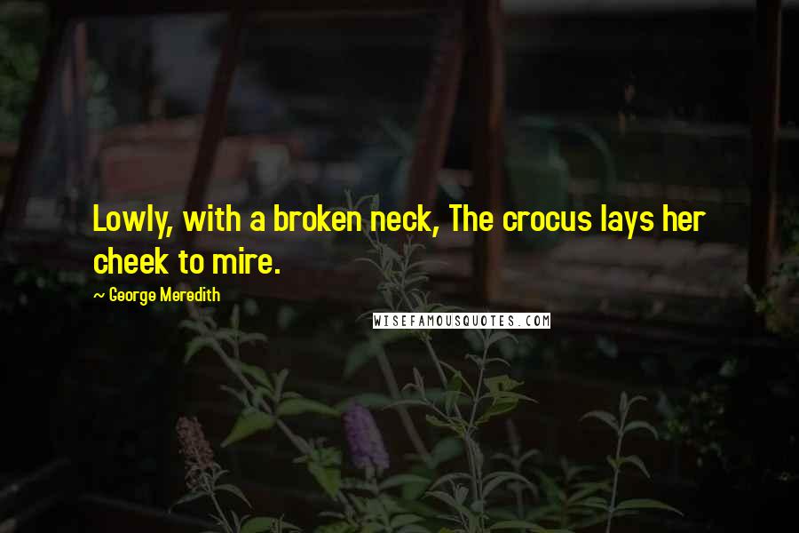 George Meredith Quotes: Lowly, with a broken neck, The crocus lays her cheek to mire.