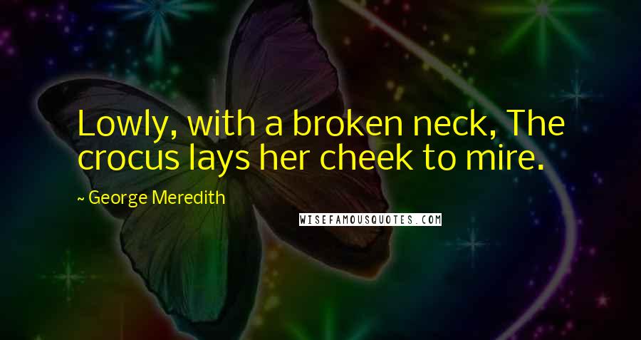 George Meredith Quotes: Lowly, with a broken neck, The crocus lays her cheek to mire.