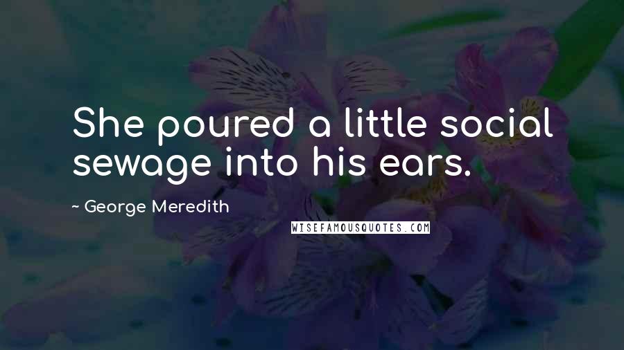 George Meredith Quotes: She poured a little social sewage into his ears.