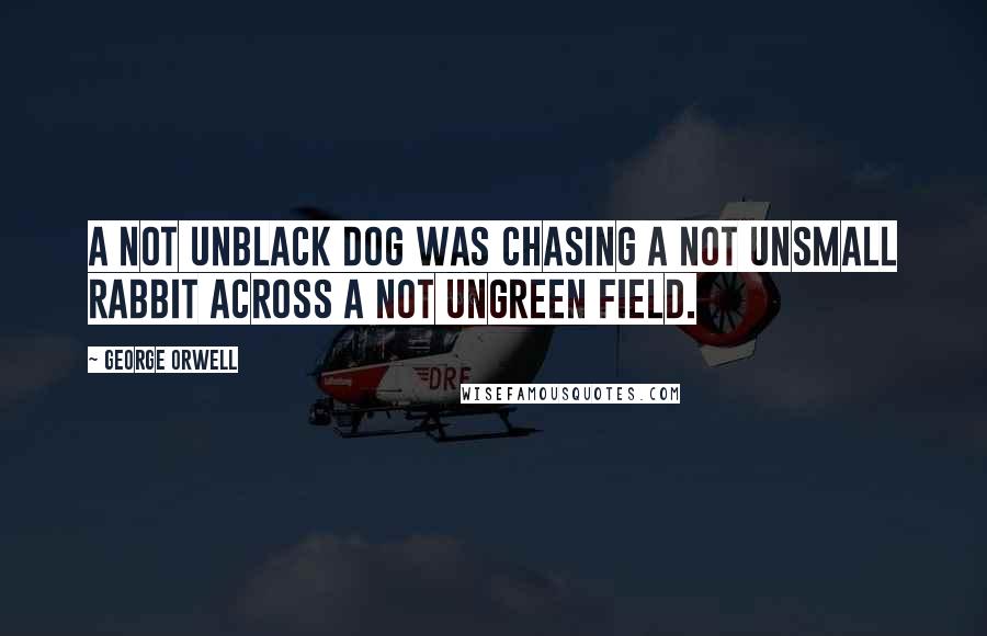 George Orwell Quotes: A not unblack dog was chasing a not unsmall rabbit across a not ungreen field.