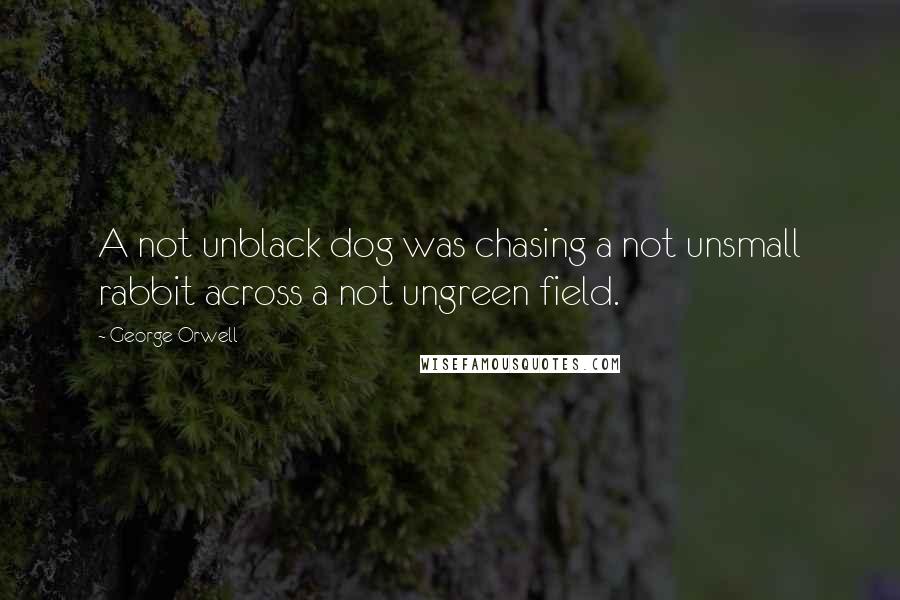 George Orwell Quotes: A not unblack dog was chasing a not unsmall rabbit across a not ungreen field.