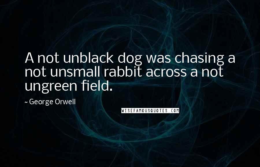 George Orwell Quotes: A not unblack dog was chasing a not unsmall rabbit across a not ungreen field.