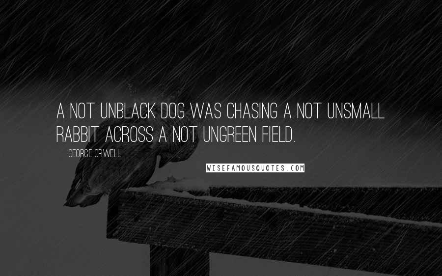 George Orwell Quotes: A not unblack dog was chasing a not unsmall rabbit across a not ungreen field.