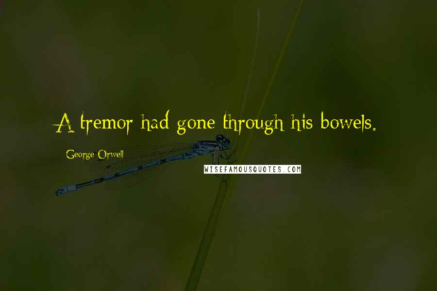 George Orwell Quotes: A tremor had gone through his bowels.