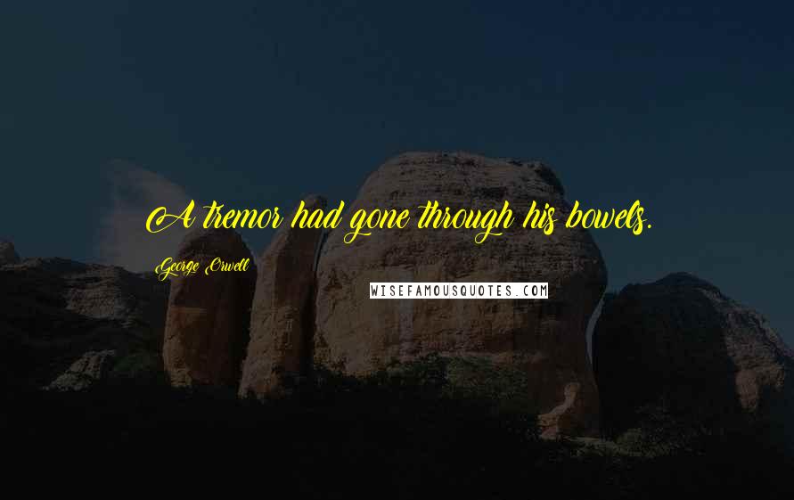George Orwell Quotes: A tremor had gone through his bowels.