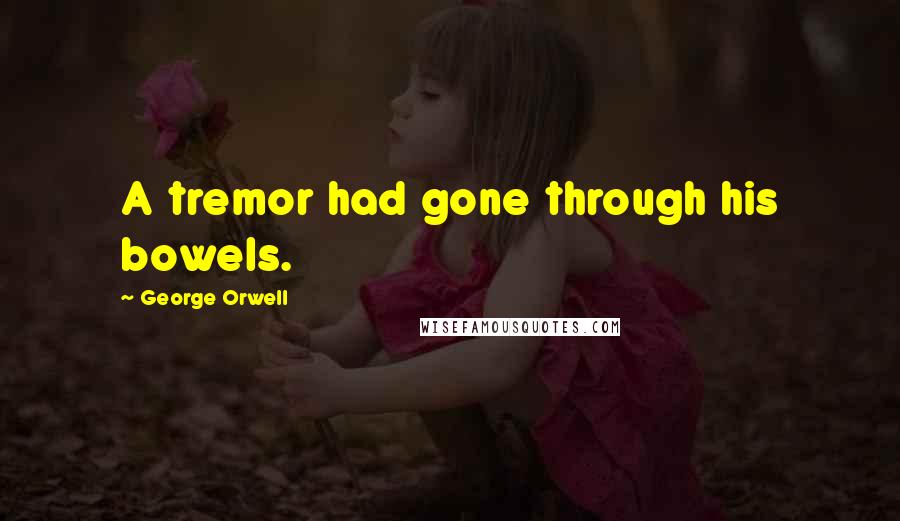 George Orwell Quotes: A tremor had gone through his bowels.