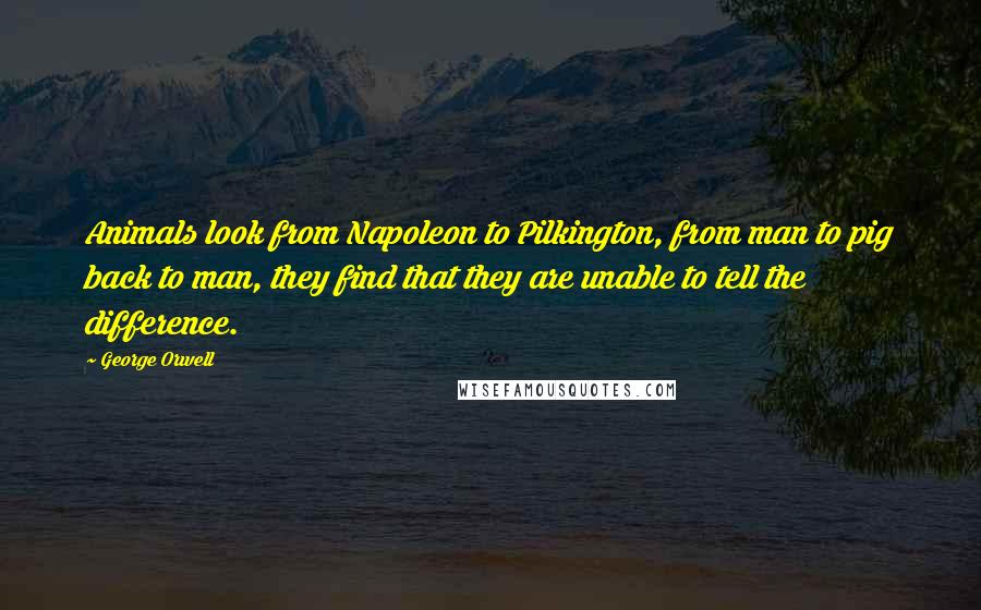 George Orwell Quotes: Animals look from Napoleon to Pilkington, from man to pig back to man, they find that they are unable to tell the difference.