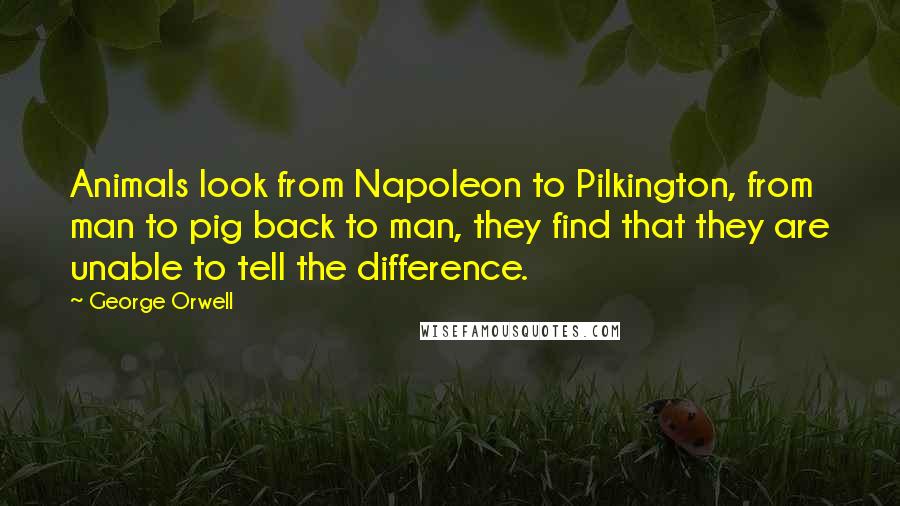 George Orwell Quotes: Animals look from Napoleon to Pilkington, from man to pig back to man, they find that they are unable to tell the difference.