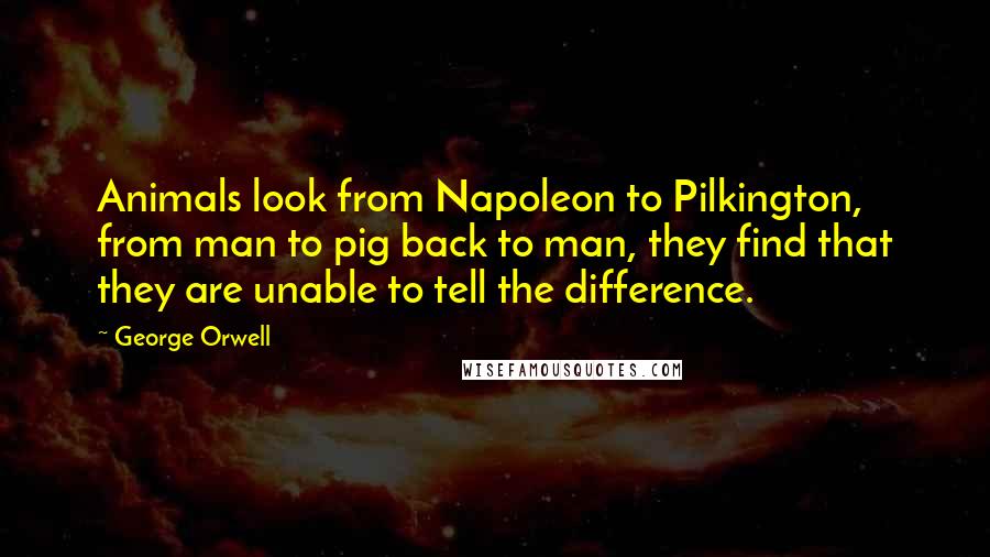 George Orwell Quotes: Animals look from Napoleon to Pilkington, from man to pig back to man, they find that they are unable to tell the difference.