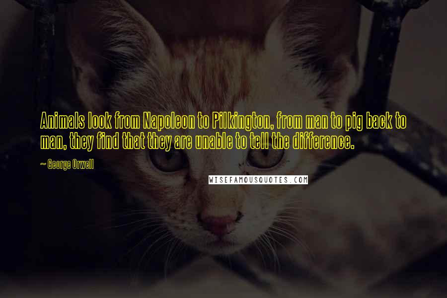 George Orwell Quotes: Animals look from Napoleon to Pilkington, from man to pig back to man, they find that they are unable to tell the difference.