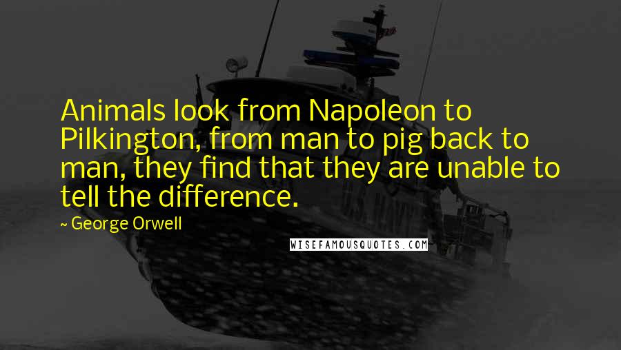 George Orwell Quotes: Animals look from Napoleon to Pilkington, from man to pig back to man, they find that they are unable to tell the difference.