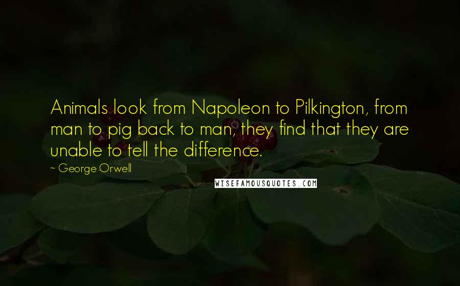 George Orwell Quotes: Animals look from Napoleon to Pilkington, from man to pig back to man, they find that they are unable to tell the difference.