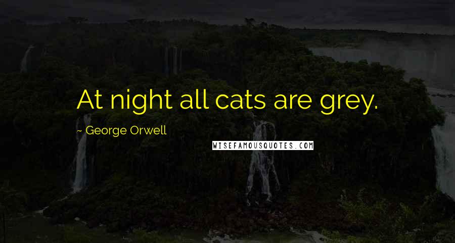 George Orwell Quotes: At night all cats are grey.