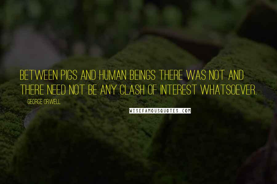 George Orwell Quotes: Between pigs and human beings there was not and there need not be any clash of interest whatsoever.
