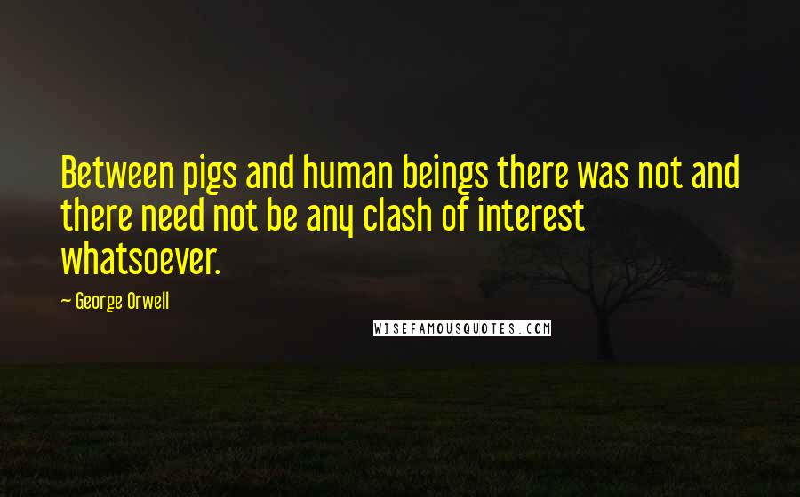 George Orwell Quotes: Between pigs and human beings there was not and there need not be any clash of interest whatsoever.