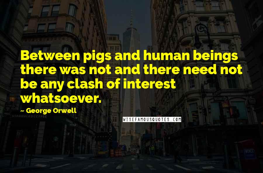 George Orwell Quotes: Between pigs and human beings there was not and there need not be any clash of interest whatsoever.