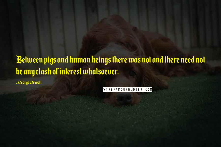 George Orwell Quotes: Between pigs and human beings there was not and there need not be any clash of interest whatsoever.
