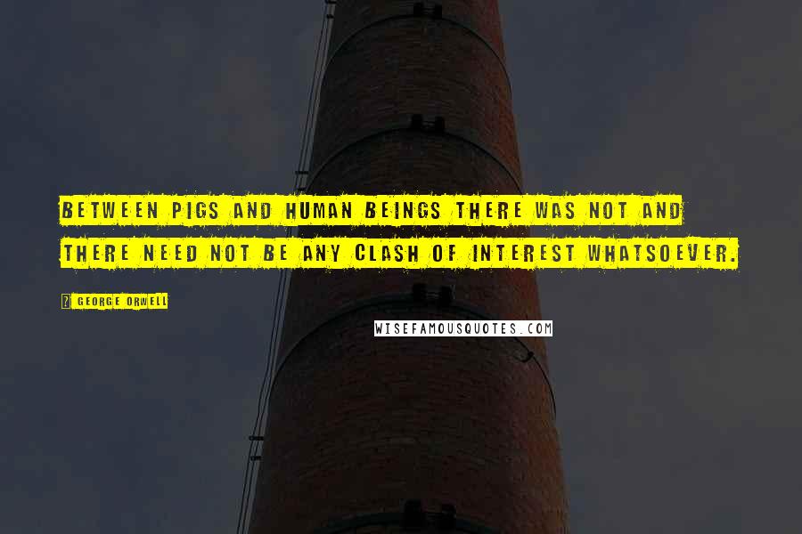 George Orwell Quotes: Between pigs and human beings there was not and there need not be any clash of interest whatsoever.