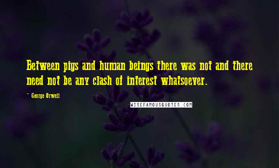 George Orwell Quotes: Between pigs and human beings there was not and there need not be any clash of interest whatsoever.