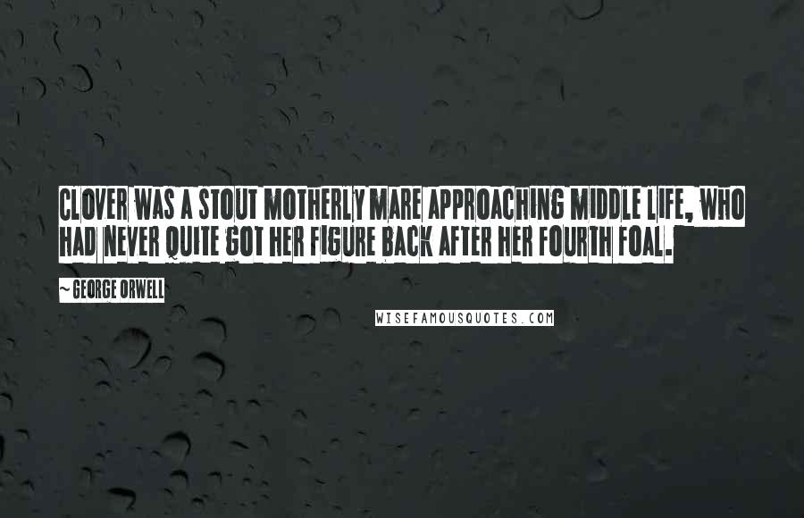 George Orwell Quotes: Clover was a stout motherly mare approaching middle life, who had never quite got her figure back after her fourth foal.