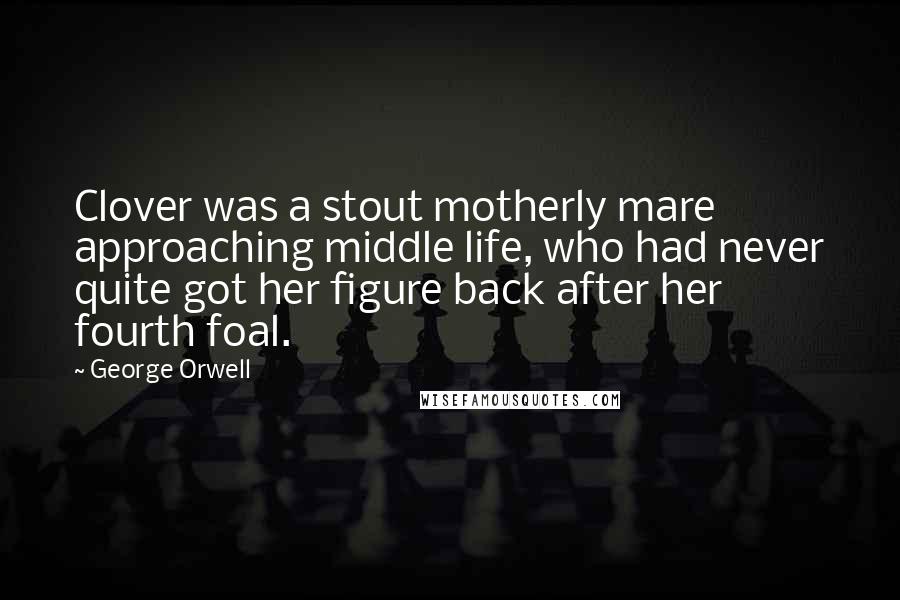 George Orwell Quotes: Clover was a stout motherly mare approaching middle life, who had never quite got her figure back after her fourth foal.