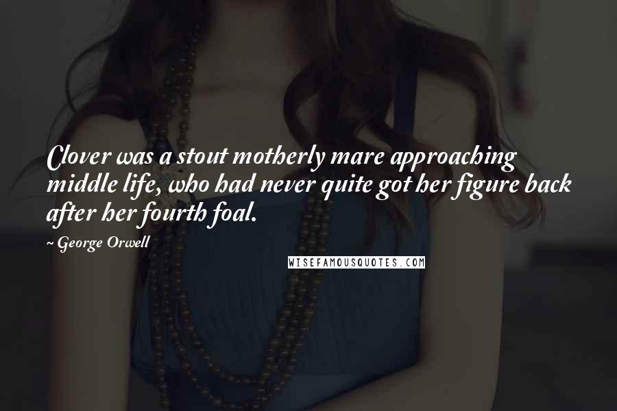 George Orwell Quotes: Clover was a stout motherly mare approaching middle life, who had never quite got her figure back after her fourth foal.