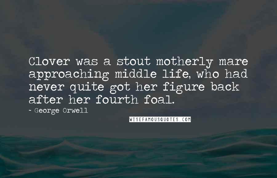 George Orwell Quotes: Clover was a stout motherly mare approaching middle life, who had never quite got her figure back after her fourth foal.