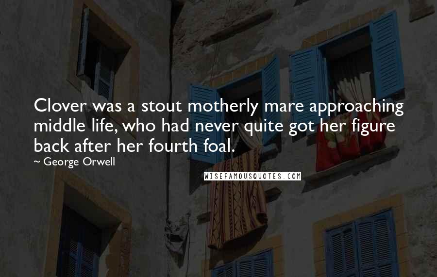 George Orwell Quotes: Clover was a stout motherly mare approaching middle life, who had never quite got her figure back after her fourth foal.