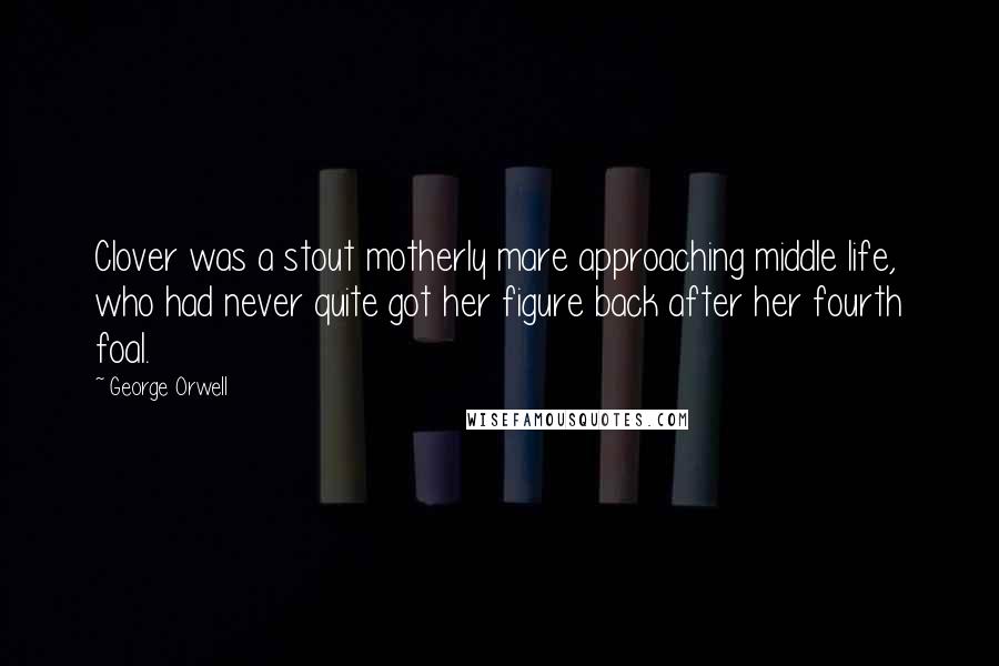 George Orwell Quotes: Clover was a stout motherly mare approaching middle life, who had never quite got her figure back after her fourth foal.