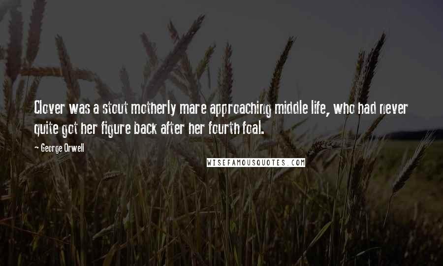 George Orwell Quotes: Clover was a stout motherly mare approaching middle life, who had never quite got her figure back after her fourth foal.