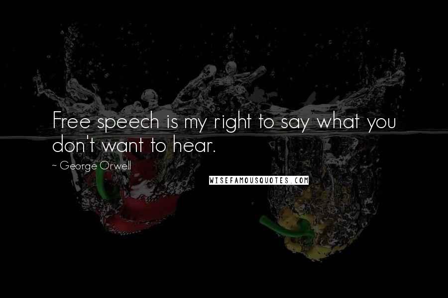 George Orwell Quotes: Free speech is my right to say what you don't want to hear.