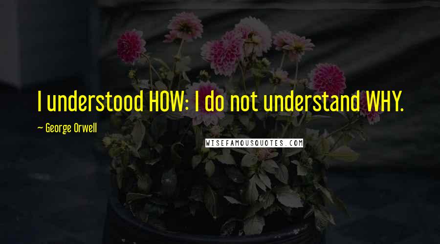 George Orwell Quotes: I understood HOW: I do not understand WHY.