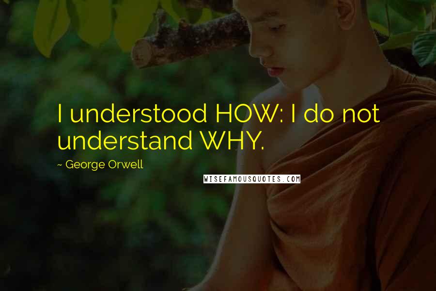 George Orwell Quotes: I understood HOW: I do not understand WHY.