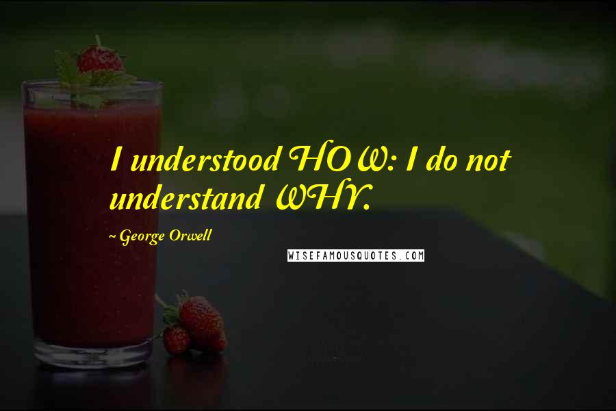 George Orwell Quotes: I understood HOW: I do not understand WHY.