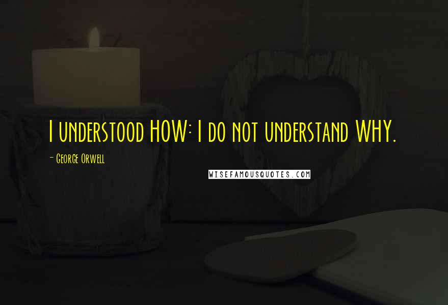 George Orwell Quotes: I understood HOW: I do not understand WHY.