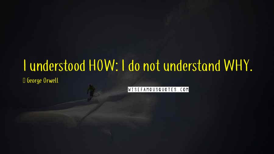 George Orwell Quotes: I understood HOW: I do not understand WHY.