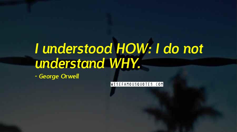 George Orwell Quotes: I understood HOW: I do not understand WHY.