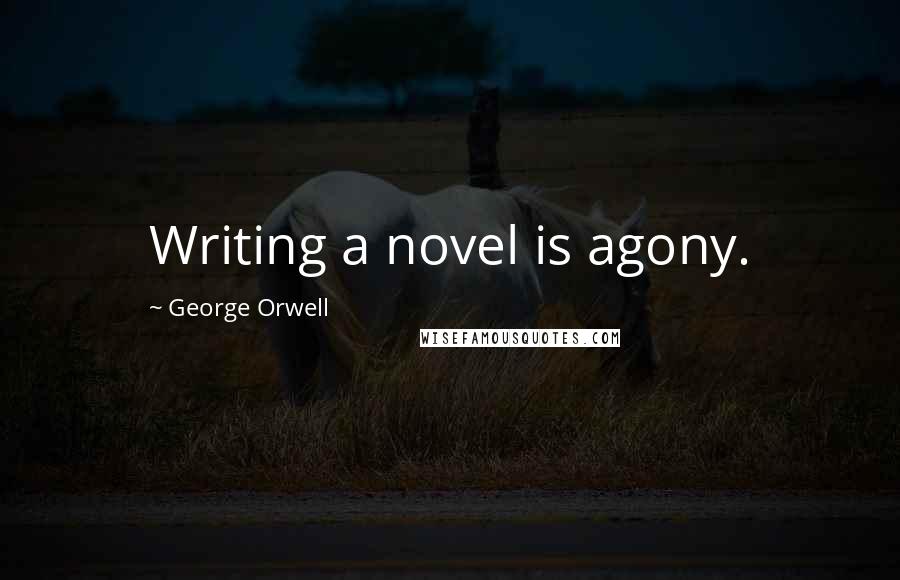 George Orwell Quotes: Writing a novel is agony.