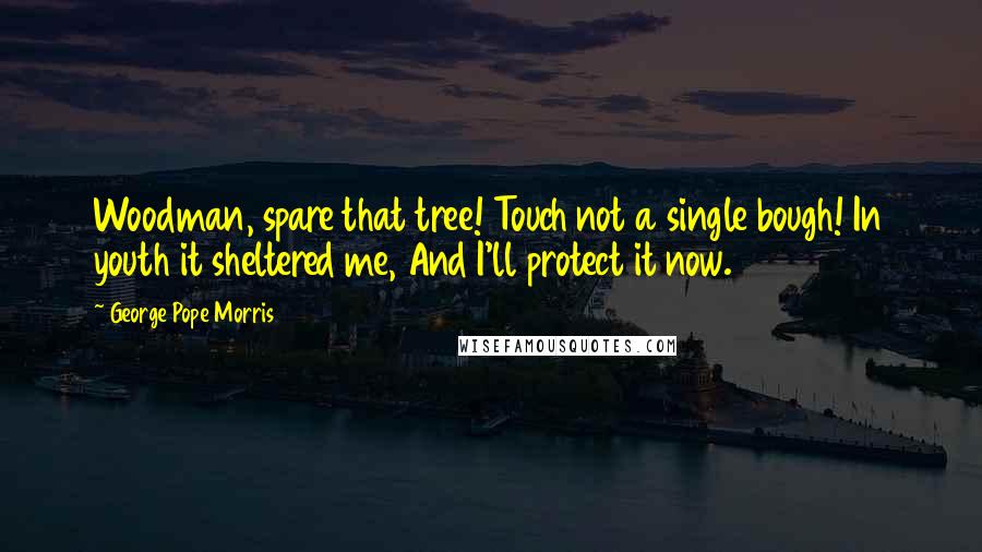 George Pope Morris Quotes: Woodman, spare that tree! Touch not a single bough! In youth it sheltered me, And I'll protect it now.