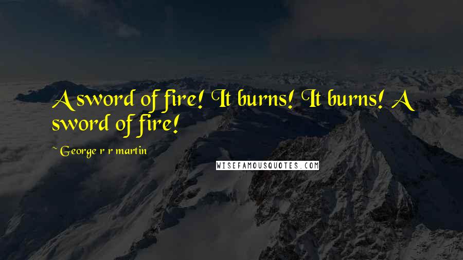 George R R Martin Quotes: A sword of fire! It burns! It burns! A sword of fire!