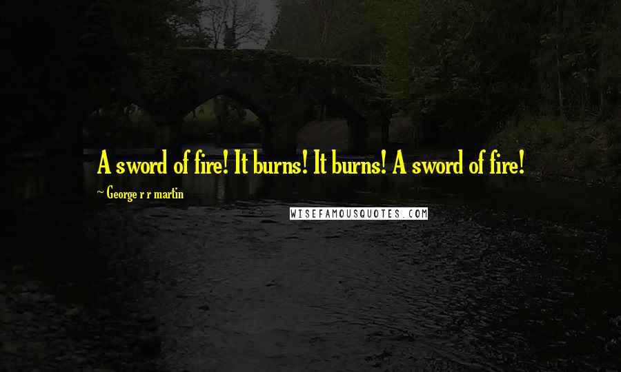 George R R Martin Quotes: A sword of fire! It burns! It burns! A sword of fire!