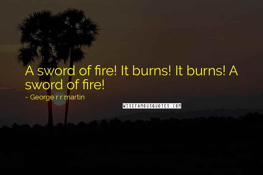 George R R Martin Quotes: A sword of fire! It burns! It burns! A sword of fire!