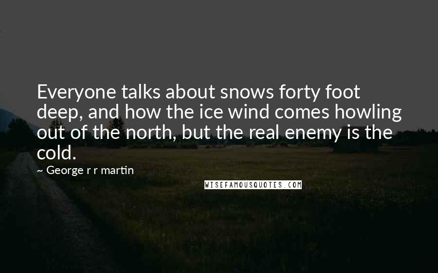 George R R Martin Quotes: Everyone talks about snows forty foot deep, and how the ice wind comes howling out of the north, but the real enemy is the cold.