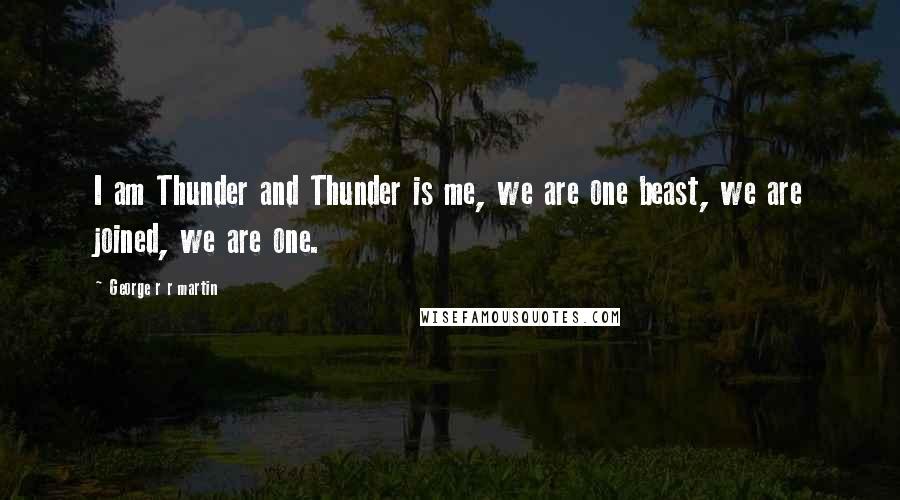 George R R Martin Quotes: I am Thunder and Thunder is me, we are one beast, we are joined, we are one.