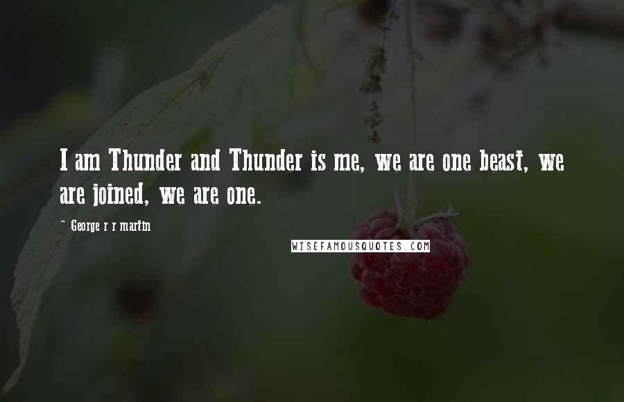 George R R Martin Quotes: I am Thunder and Thunder is me, we are one beast, we are joined, we are one.