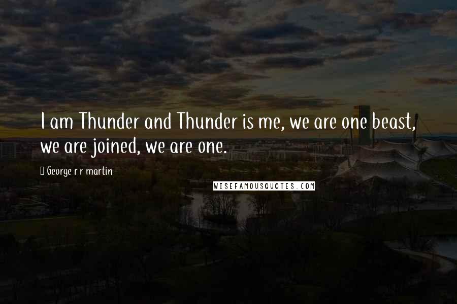 George R R Martin Quotes: I am Thunder and Thunder is me, we are one beast, we are joined, we are one.