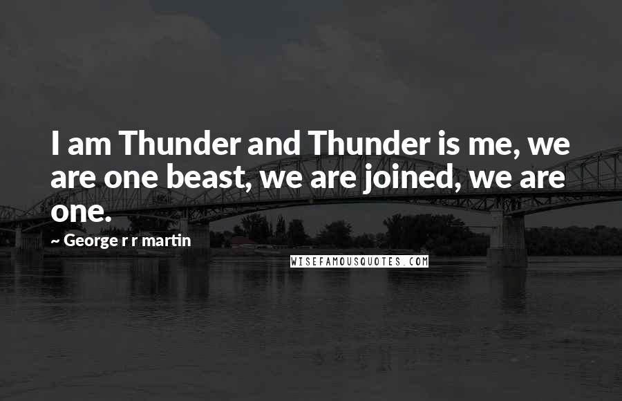 George R R Martin Quotes: I am Thunder and Thunder is me, we are one beast, we are joined, we are one.